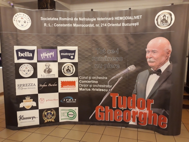 20181011_175219_resized (1)