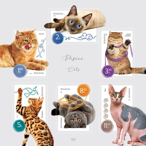 BLOC_PISICI_finalizare