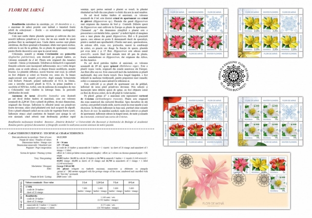 pliant Flori de iarna2