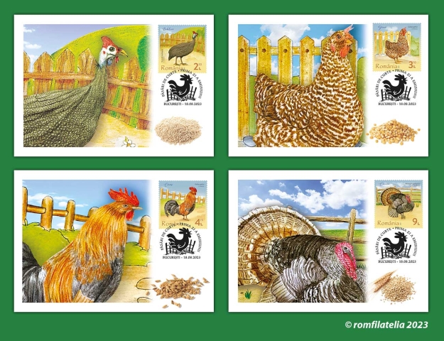 SITE_maxime_Pasari-de-curte