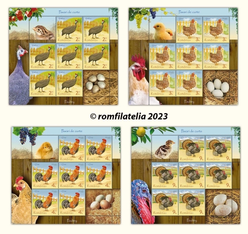 SITE_mc-7+2-v_Pasari-de-curte