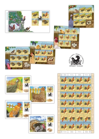 int pliant_Pasari de curte