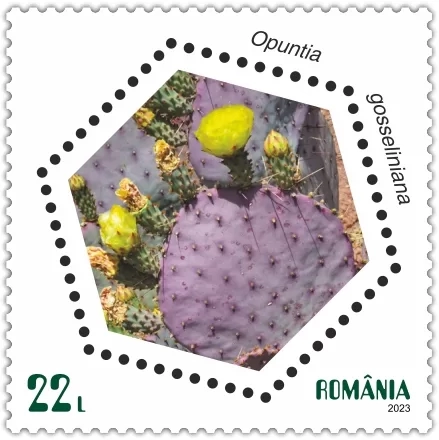 TIMBRU CACTUSI 22 LEI