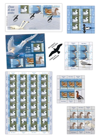 int pliant_Pasari iarna acvatice