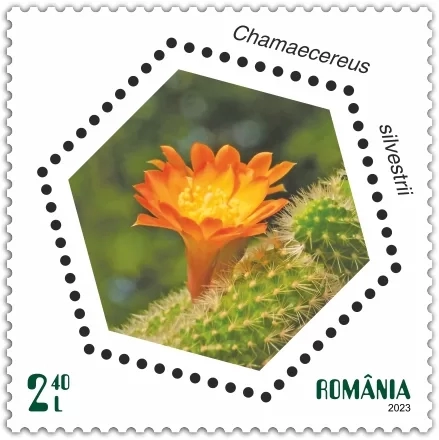 timbru cactusi 2.40