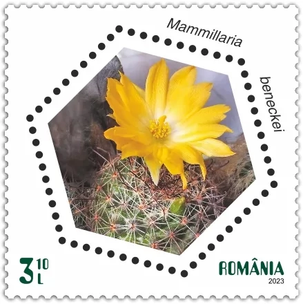 timbru cactusi 3.10